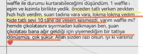 Katılımcı mesajı