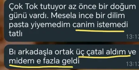 Katılımcı mesajı