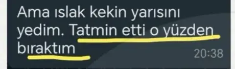 Katılımcı mesajı