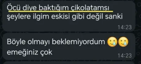 Katılımcı mesajı