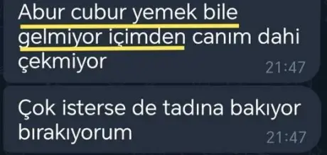 Katılımcı mesajı