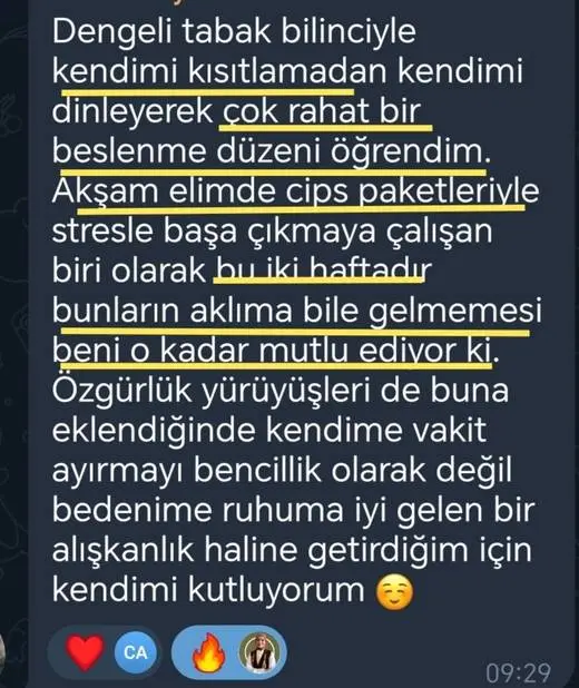 Katılımcı mesajı