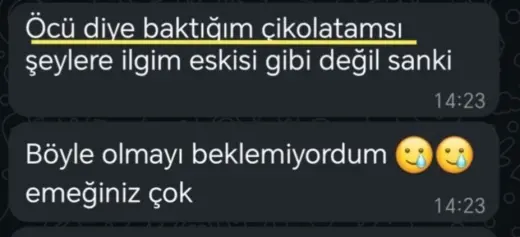 Katılımcı mesajı